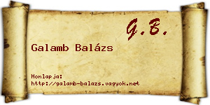 Galamb Balázs névjegykártya